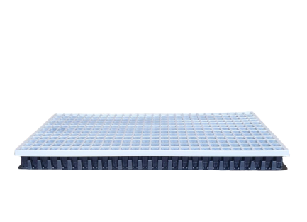 DTS 338 cells