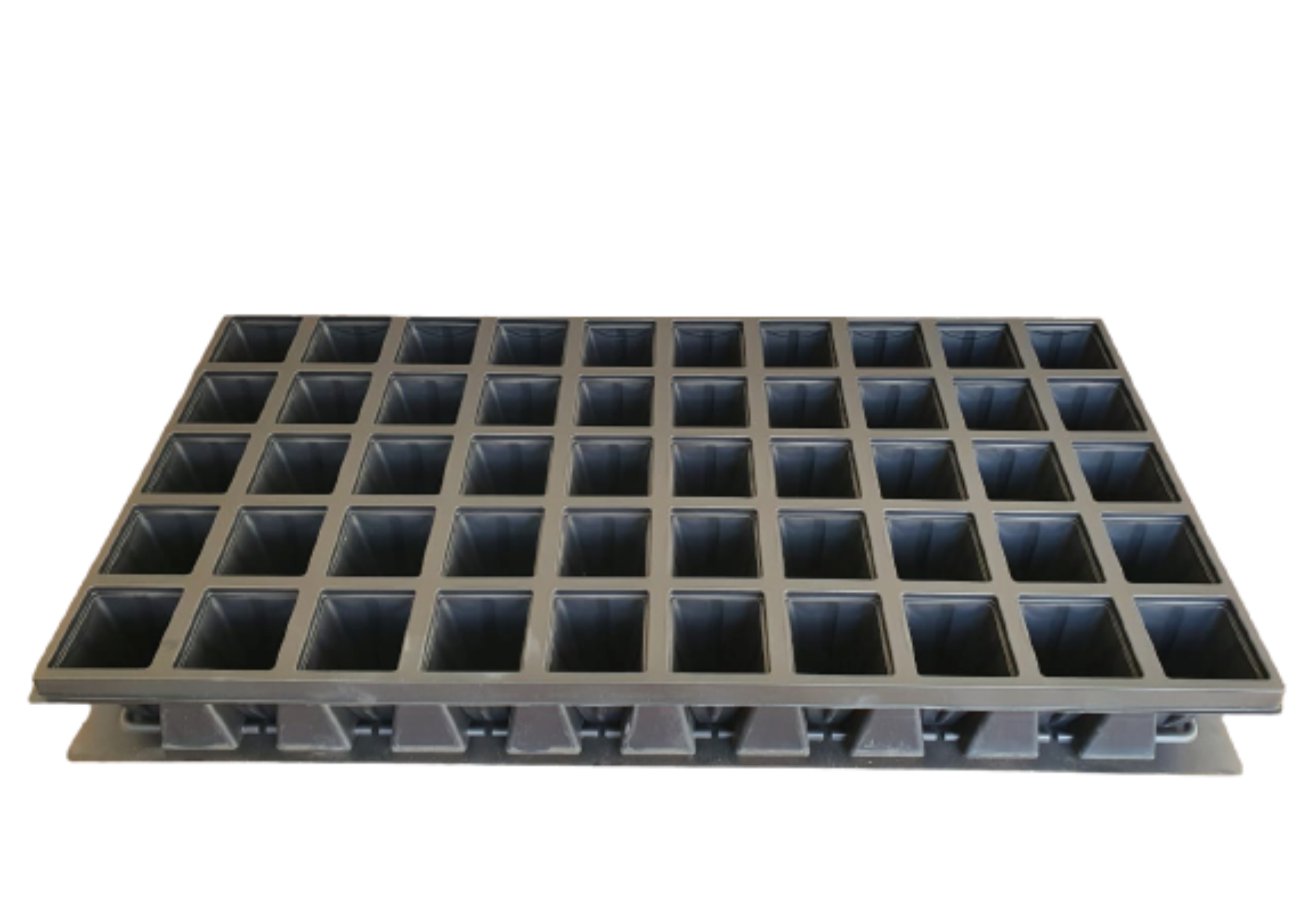 DTS 50 cells