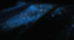 The%20leaf%20of%20life_edited.jpg