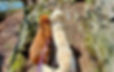 20210326_130941_edited_edited_edited_edited.jpg