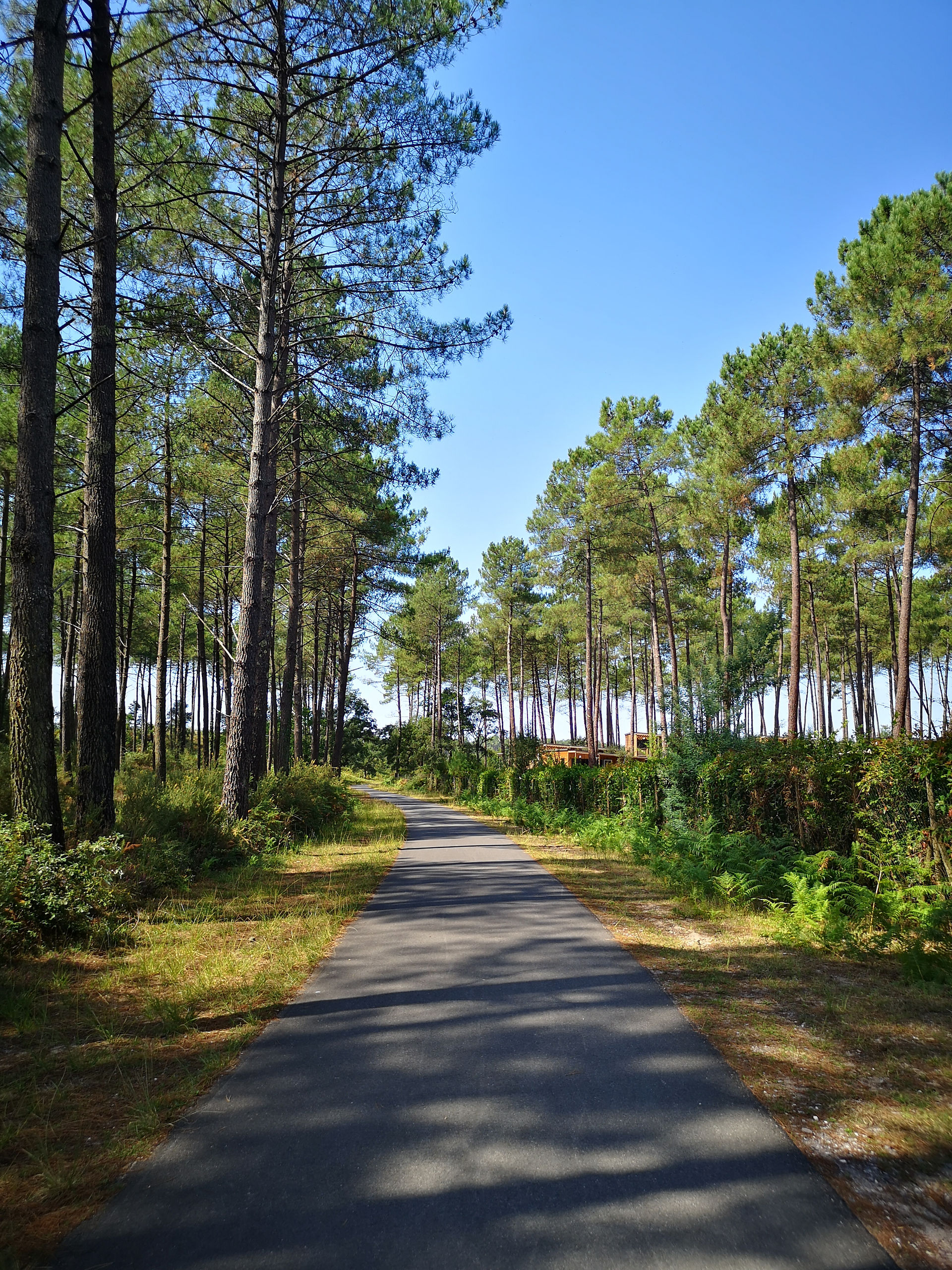 Camping Sandaya Soustons Village