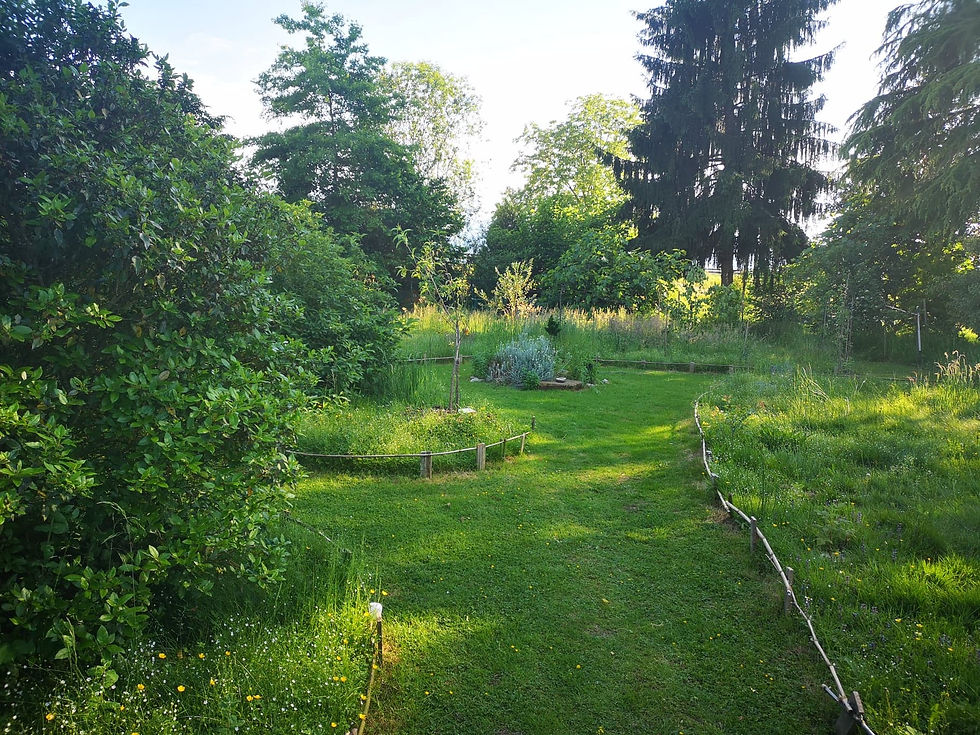 jardin avec la tonte différenciée