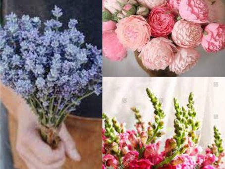Beautiful Flowers with Different Health Benefits