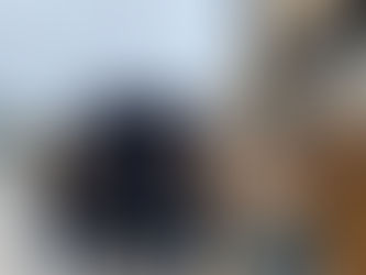 MAZON IN YOUR COMMUNITY: ONTARIO