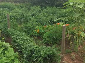 MAZON IN YOUR COMMUNITY: THE MARITIMES