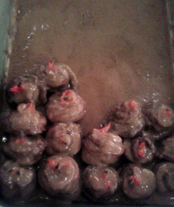 Pri60-Enrollado de carne