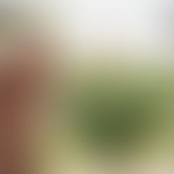 Polyglotka jako jazyková lektorka? Simona Pöder Innerhofer