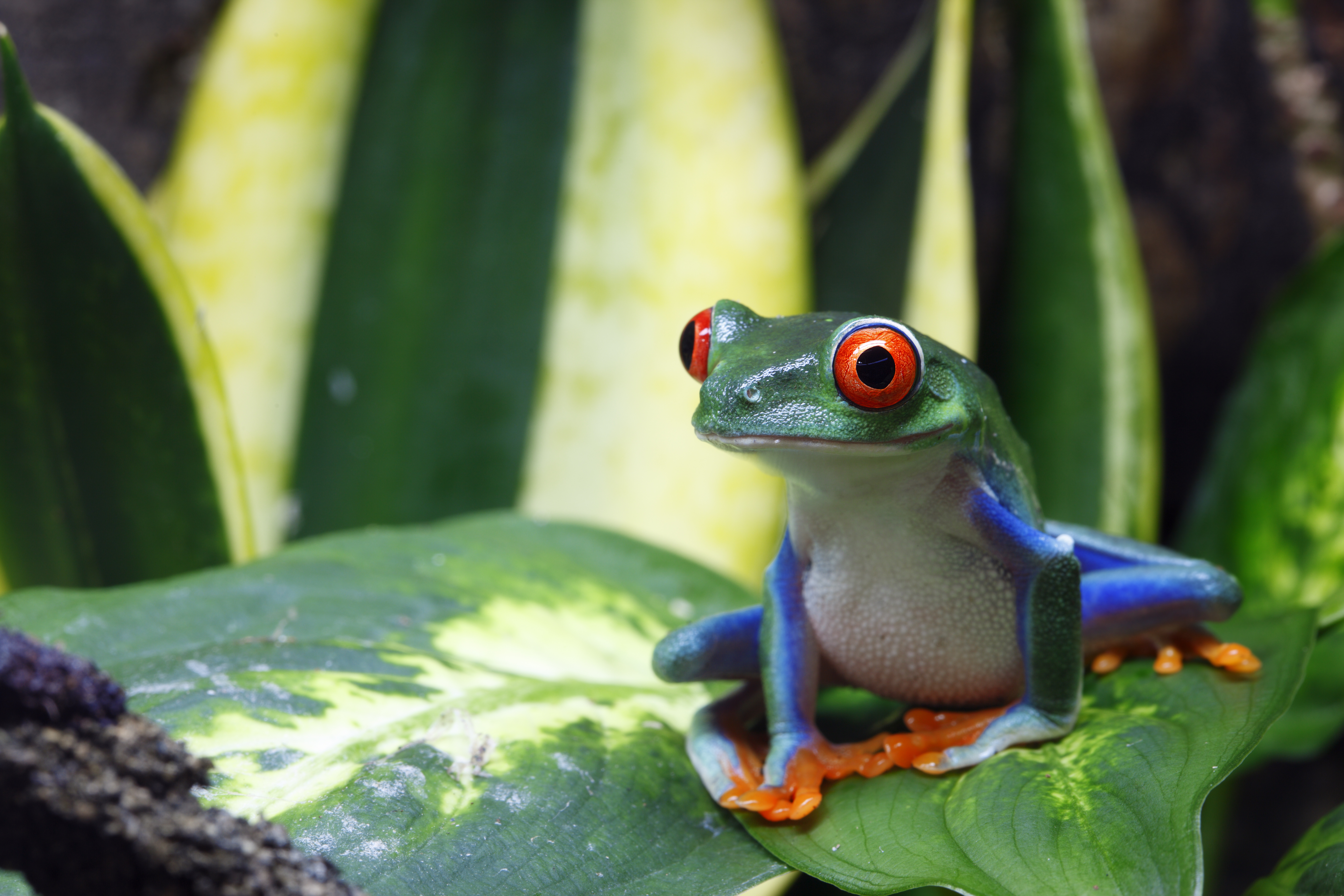 iStock-147078787