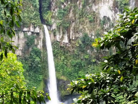 Hacia la Catarata Chindama-Guápiles