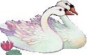 cigno-immagine-animata-0023.gif