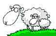 pecora-immagine-animata-0105.gif