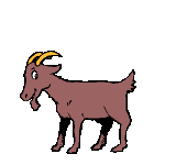 capra-immagine-animata-0005.gif
