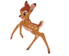 4.GIF