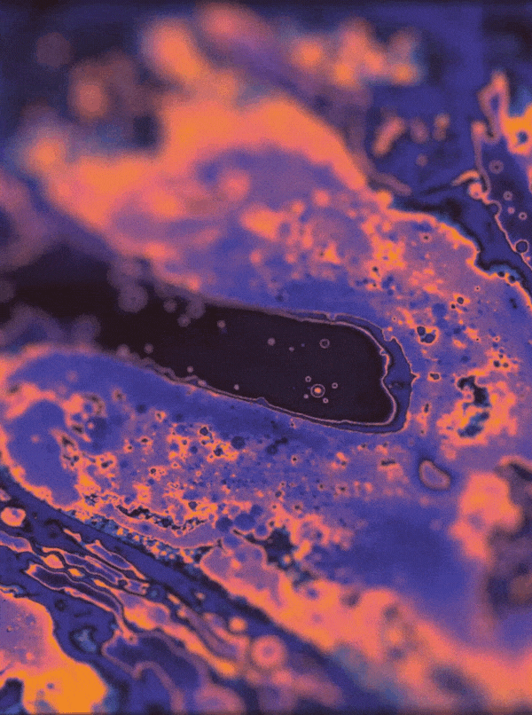 CC_03_noglass.gif
