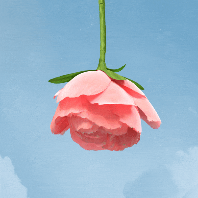 Thorne_SH160_Flower_comp_a04.gif