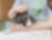 putting a pet down_ euthanasia_saying goodbye to pet cat_edited_edited.jpg