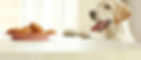 DogCookies_shutterstock_385221001_edited.jpg