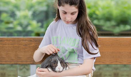 putting a pet down_ euthanasia_saying goodbye to pet rabbit or dog or cat