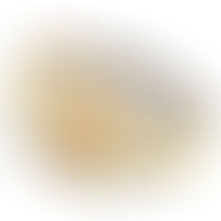 Rolex 勞力士 Datejust 126233G 香檳電腦面鑲鑽 黃金鋼Oyster帶的經典奢華