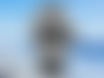 鋼殼之下的深海意志——愛彼 Audemars Piguet Royal Oak Offshore Diver 15703ST.OO.A002CA.01