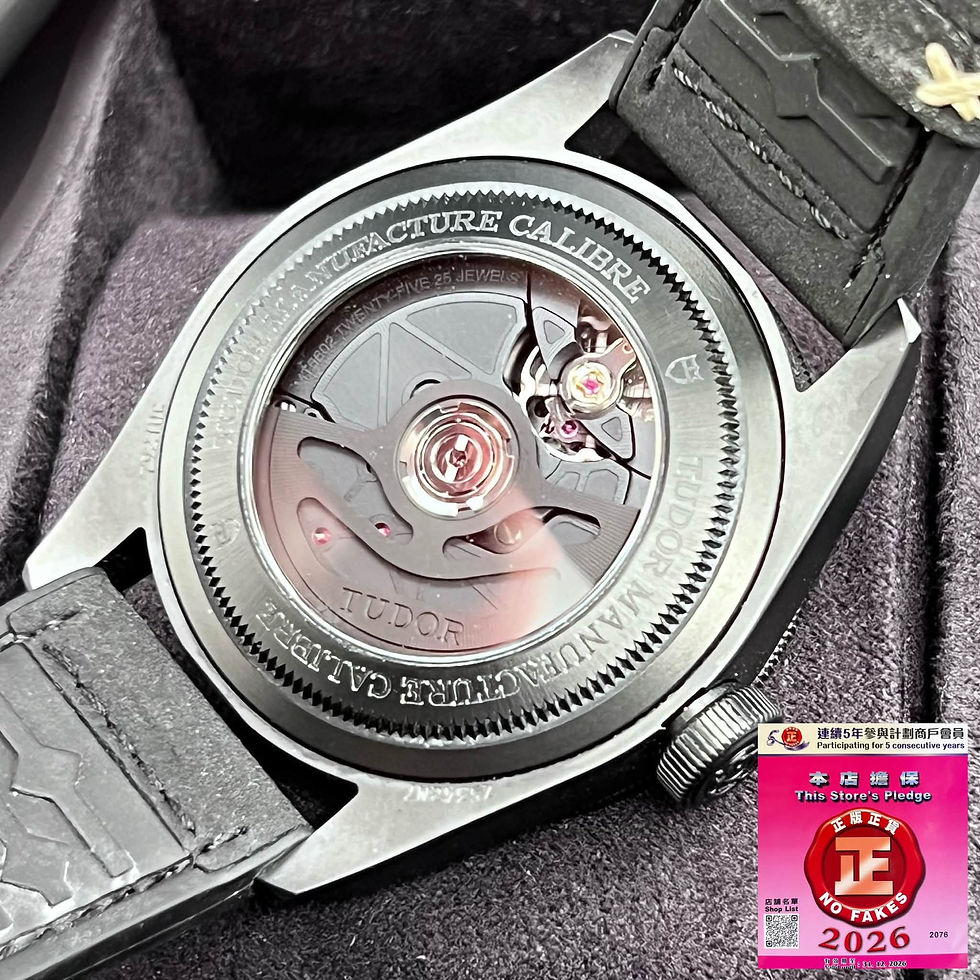 縮圖：Tudor BlackBayCeramic 79210CNU