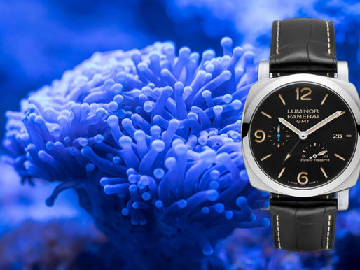 當時間不只屬於一個時區 —— 沛納海 Panerai PAM01321 的深海節奏