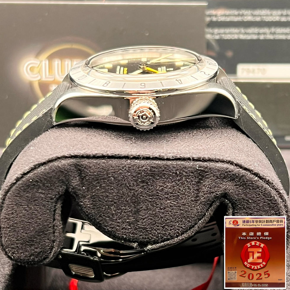 縮圖：Tudor BlackBayPro 79470