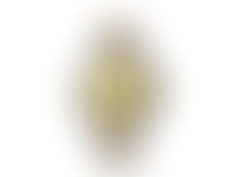 鋼與金的平衡之美 帝舵 TUDOR Black Bay S&G 79733N,全方位演繹經典潛水風格