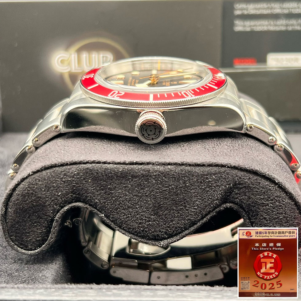 縮圖：Tudor BlackBay 79230R