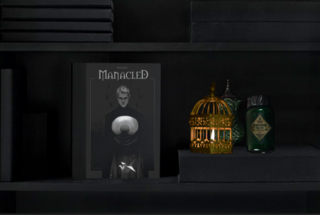 Hit Harry Potter Fanfiction Manacled Being Published in 2025