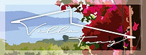 Villa Tany logo