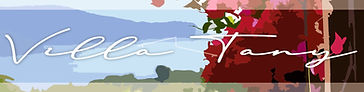 Villa Tany logo
