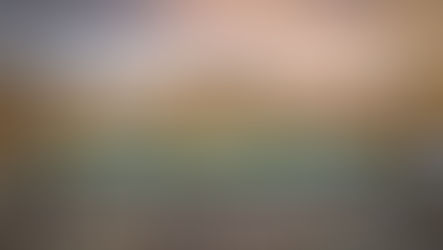 PLACE VENDÔME ANNOUNCES THE RETURN OF ITS RECORD-BREAKING 24-HOUR SALE