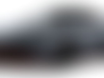 Nissan and NMC Announce New Initiatives for the NISMO Brand