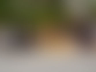 Sun Siyam Iru Veli Hosts Italian University Delegation for Sustainability and CSR Learning Programme