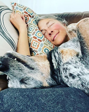 Person and dog faces sleeping