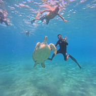 Abu Dabbab snorkeling