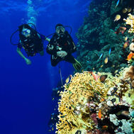 Marsa Assalya shore dive