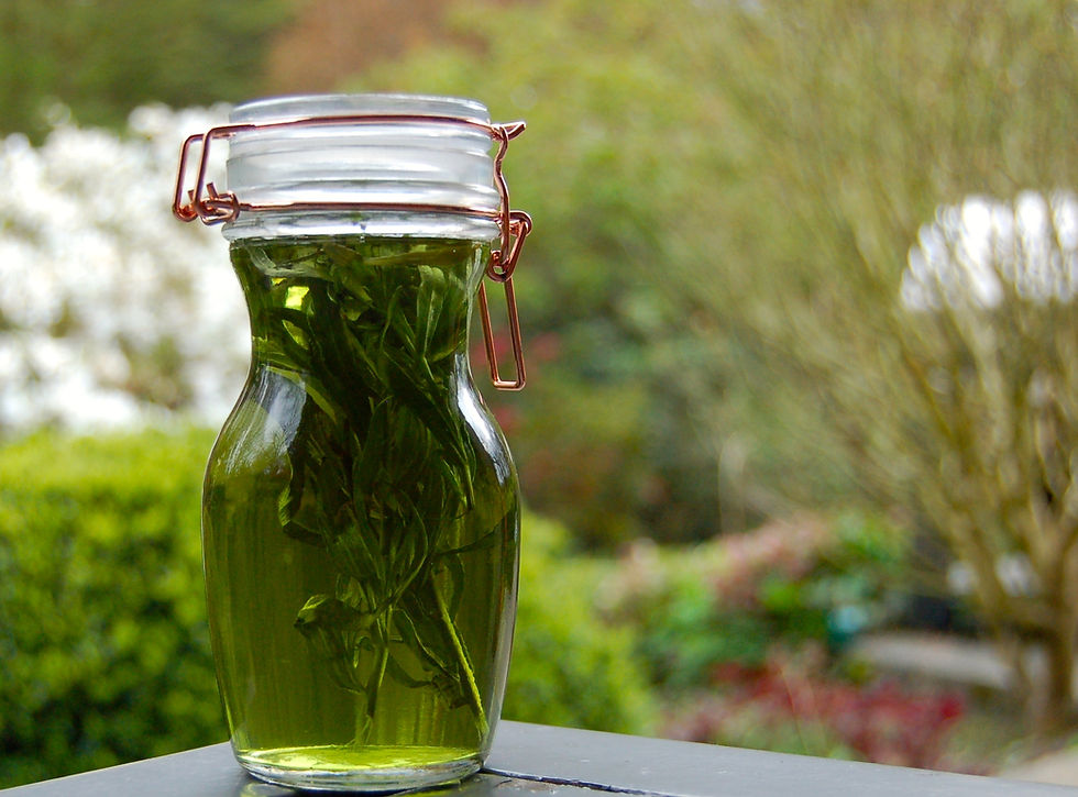 liqueur estragon , posé sur une table, avec un jardin flou en arrière-plan. Couvercle métallique cuivré. Ambiance naturelle.