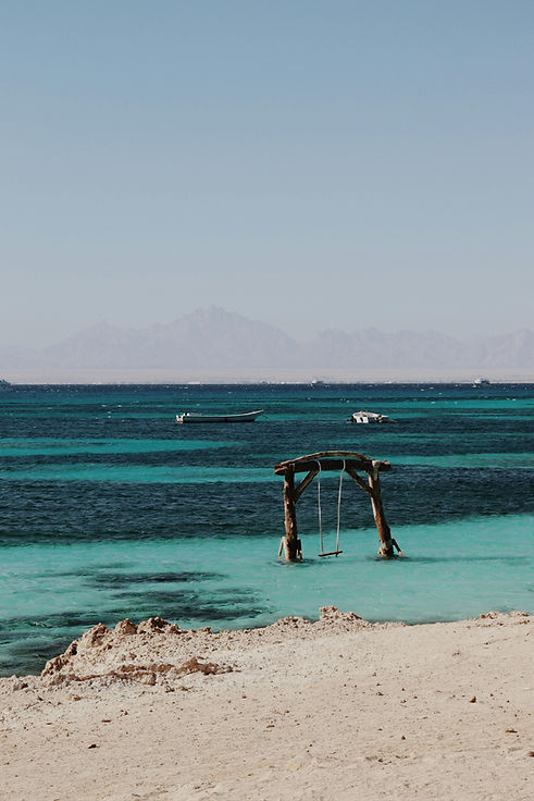 pexels-leefinvrede-14668164.jpg