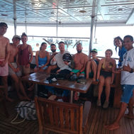 snorkeling with dolphins