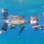 Abu Dabbab snorkeling