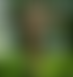 "one thing I have asked of the Lord."