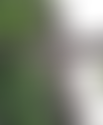 "I will not leave you orphans."