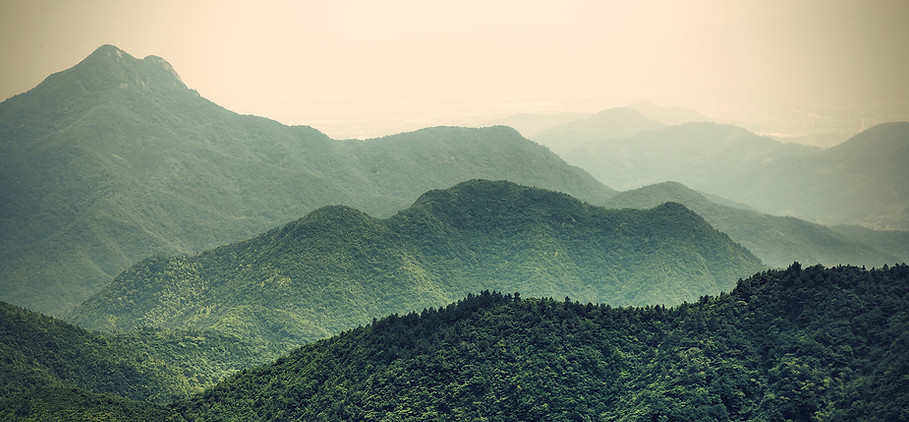 Misty Slopes