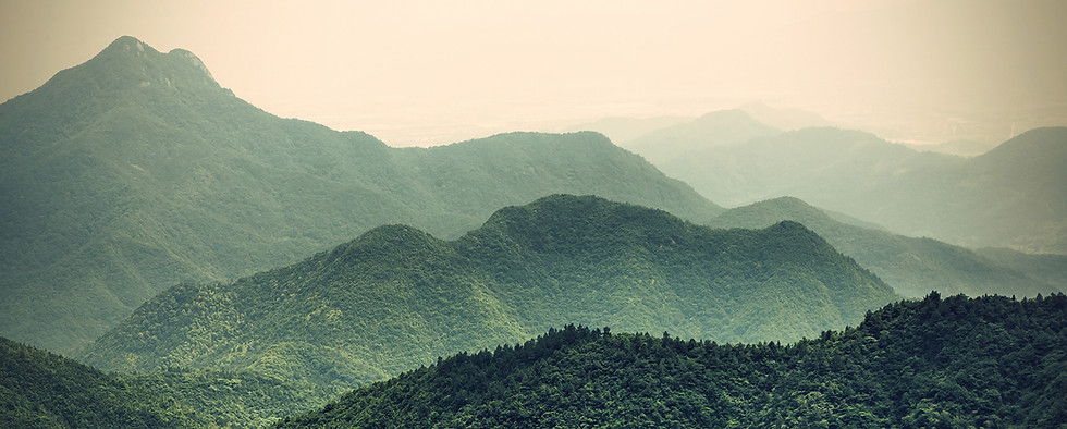 Misty Slopes