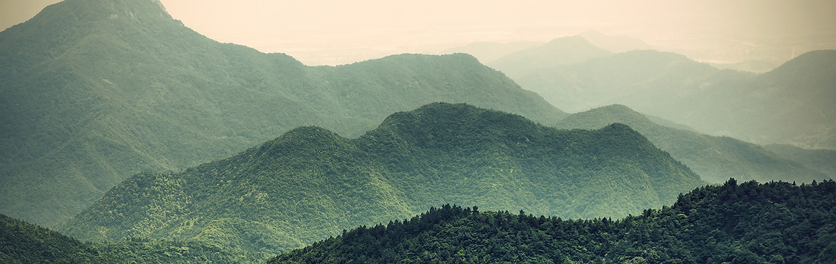 Misty Slopes