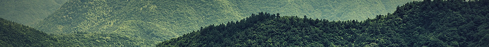 Misty Slopes