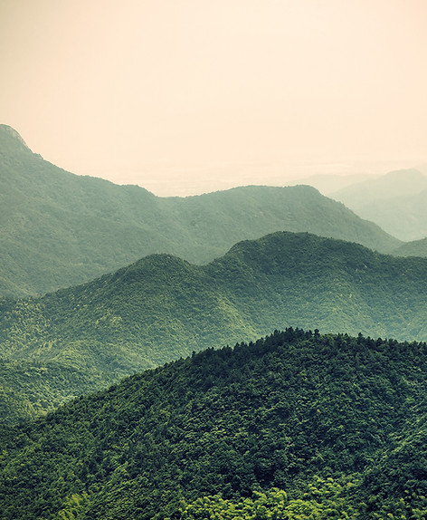καλύτερος ψυχολόγος καλύτερη ψυχολόγος