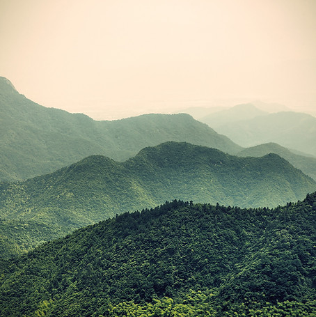 Misty Slopes